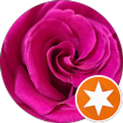 Profile photo of Carmen F