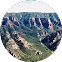 Profile photo of Claudia Wilcox