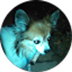 Profile photo of S Newman