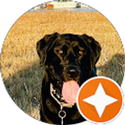 Profile photo of scott harrie