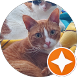 Profile photo of Daniel Brennan