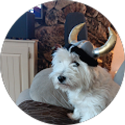 Profile photo of Maggie Souza