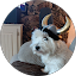 Profile photo of Maggie Souza