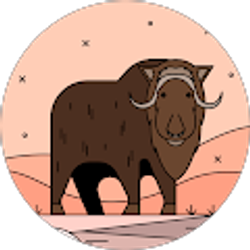 Profile photo of Elizabeth Velez