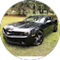 Profile photo of karen Gonzza