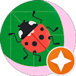 Profile photo of Yvonne “Bonnie” Rivera