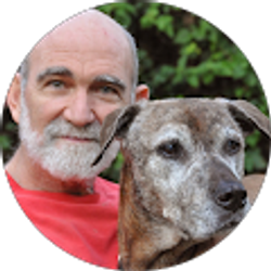 Profile photo of Mark Bonaparte