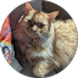 Profile photo of Michelle Simone