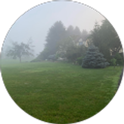 Profile photo of Robinson Mata