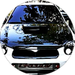 Profile photo of Brad Smith