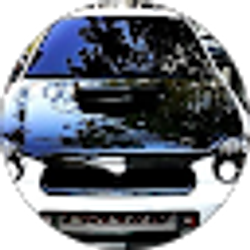 Profile photo of Brad Smith