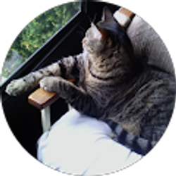 Profile photo of Brenda Kay