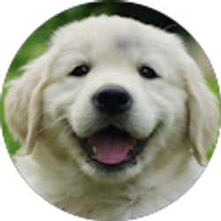 Profile photo of Trixie Milazzo