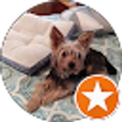 Profile photo of Rick Edens