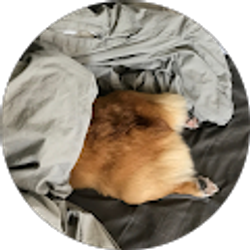 Profile photo of Chris Yun