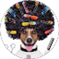 Profile photo of Rachael Mohr