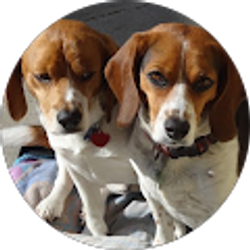 Profile photo of Bruce Wild