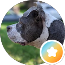 Profile photo of Victor Sorto