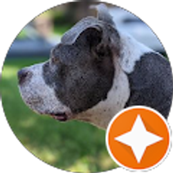 Profile photo of Victor Sorto