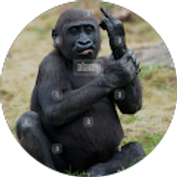 Profile photo of ICEisNice ICEbabyICE (ICEisNice)