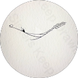 Profile photo of Marie Marquez