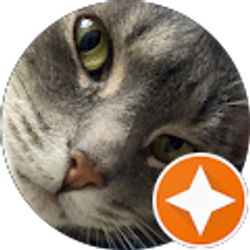 Profile photo of Josephine Finocchiaro