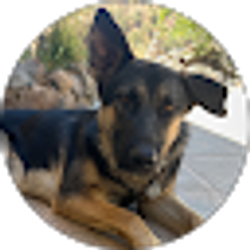 Profile photo of Leslie Com-Cald