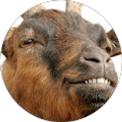 Profile photo of Anthony DiNovo