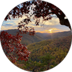 Profile photo of Aurora Sipe