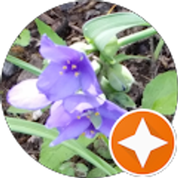 Profile photo of Kathy B