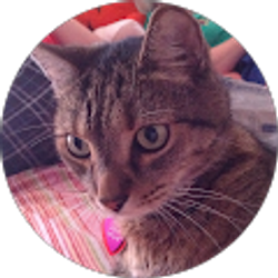 Profile photo of Jeffrey Evensen