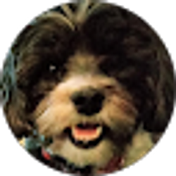 Profile photo of Becky Whitmore