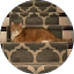 Profile photo of April Vachon