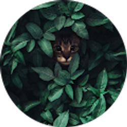 Profile photo of Glacier McGinnis