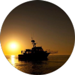 Profile photo of Peter Carson