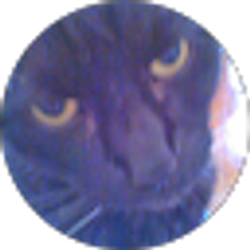 Profile photo of oscar rial