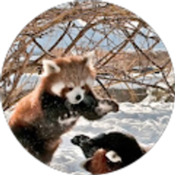 Profile photo of Paige Chomp