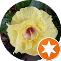 Profile photo of Cajun Guidry