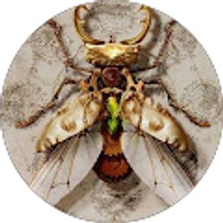 Profile photo of Ella Brooks