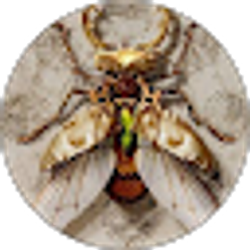 Profile photo of Ella Brooks