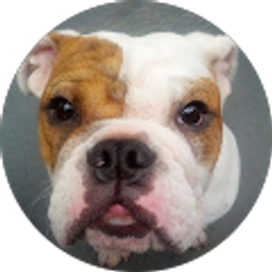Profile photo of Alex Robinson