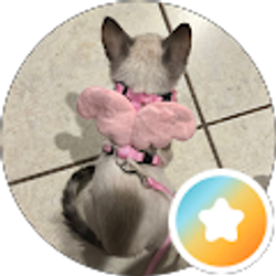 Profile photo of Daniella Sanchez (Dani)