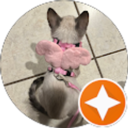 Profile photo of Daniella Sanchez (Dani)