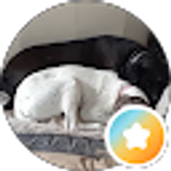 Profile photo of Chris Pawlowski