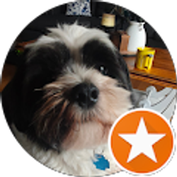 Profile photo of Moisés Magaña