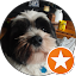 Profile photo of Moisés Magaña