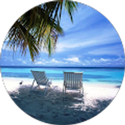 Profile photo of Steven Houchen