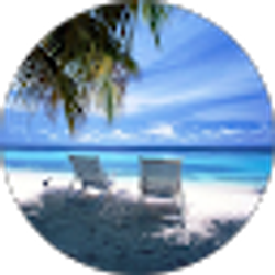 Profile photo of Steven Houchen