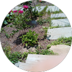 Profile photo of Mike Farrar