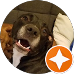 Profile photo of Yohan G